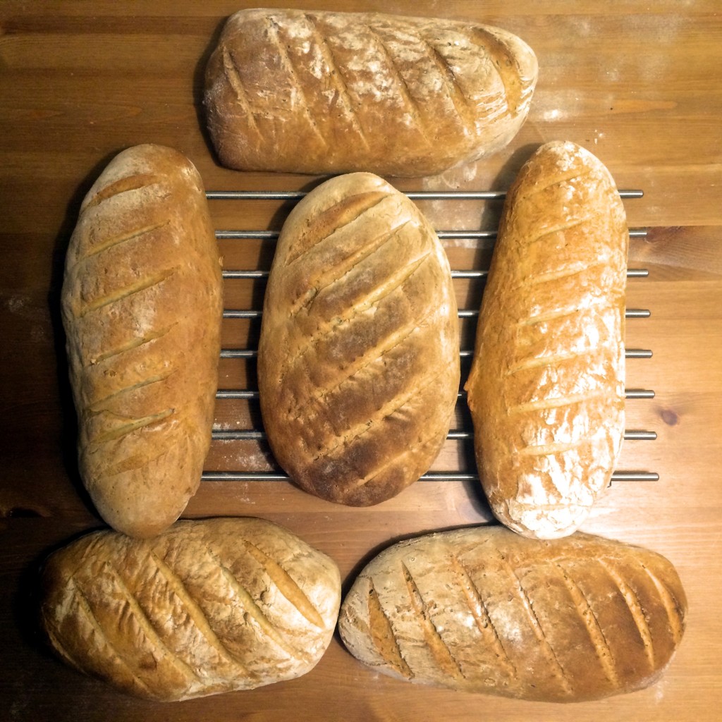 prosty-chleb-pszenny-na-zakwasie-homemade-bread-przepis-recipe