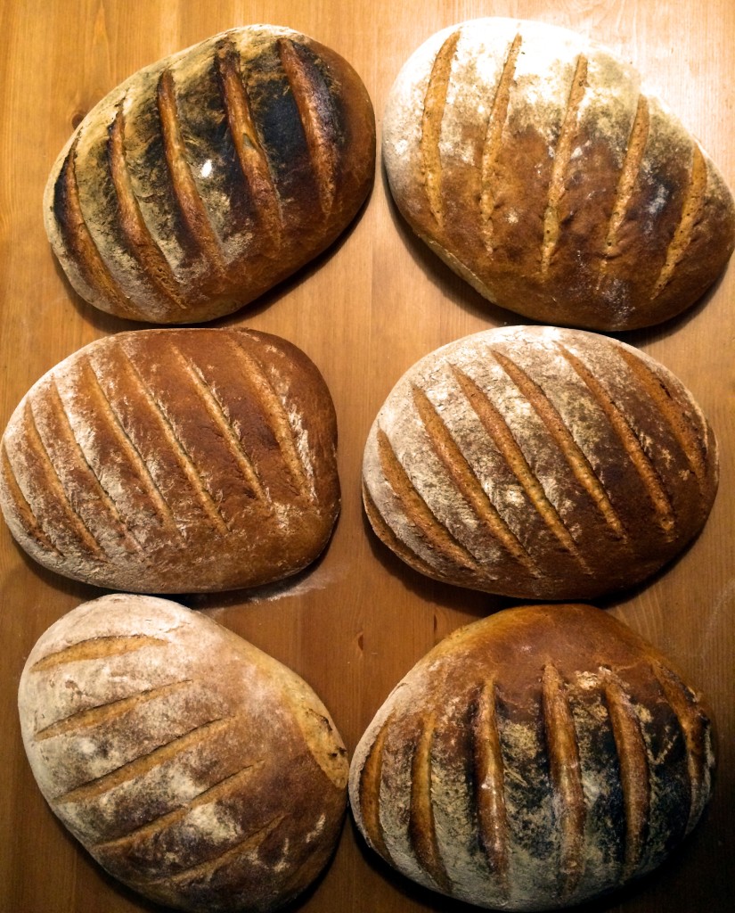 prosty-domowy-chrupiacy-chleb-homemade-bread-przepis-recipe